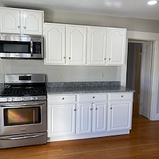 Cabinet Painting 0