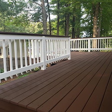 Deck Staining 1